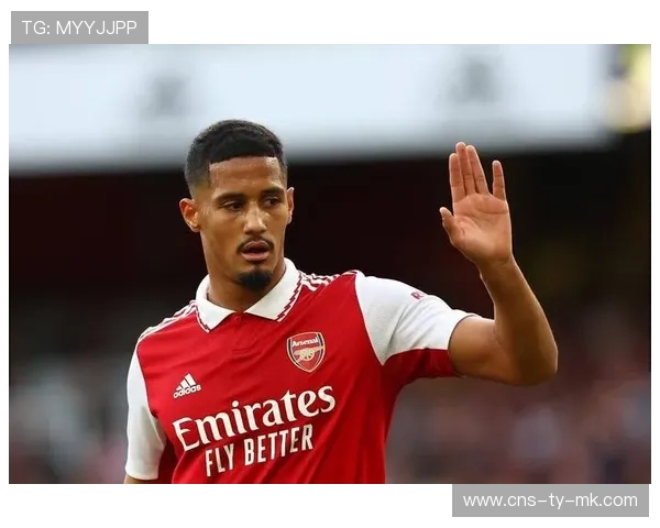 阿森纳创低失球纪录 萨利巴加布里埃尔铁血防线无懈可击 阿森纳创低失球纪录 萨利巴加布里埃尔铁血防线无懈可击